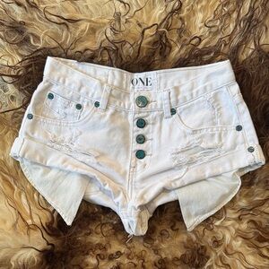 One Teaspoon Low Rise Bandits 22 0